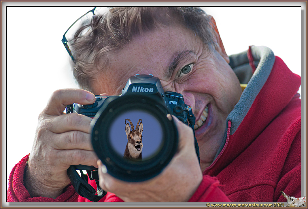 Le roi de la photo animalère